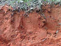 subsoil是什么意思
