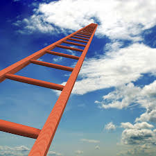 successfully是什么意思