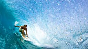surf是什么意思