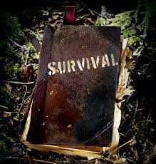 survive是什么意思