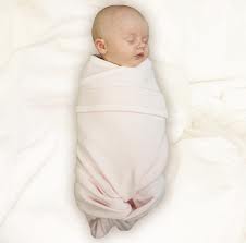 swaddle是什么意思