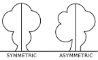 symmetry是什么意思