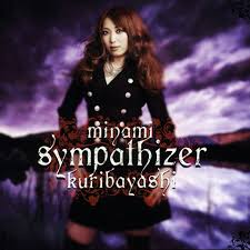 sympathizer是什么意思