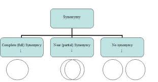 synonymy是什么意思
