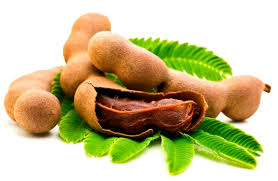 tamarind是什么意思