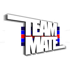 teammate是什么意思