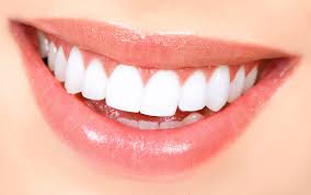 teeth是什么意思