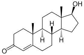testosterone是什么意思