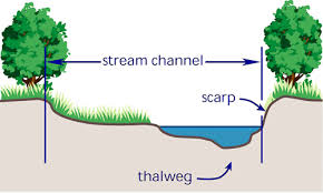 thalweg是什么意思