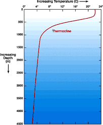 thermocline是什么意思