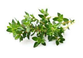 thyme是什么意思