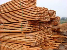 timber是什么意思