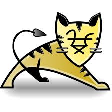 tomcat是什么意思