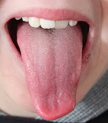 tongue是什么意思