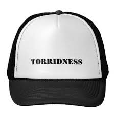 torridness是什么意思