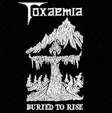 toxaemia是什么意思