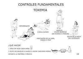toxemia是什么意思