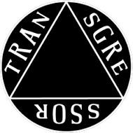 transgressor是什么意思