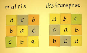 transpose是什么意思
