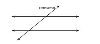 transversal是什么意思