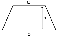 trapezium是什么意思