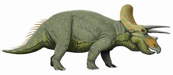 triceratops是什么意思