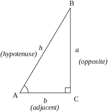 trigonometry是什么意思