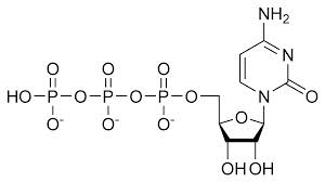 triphosphate是什么意思