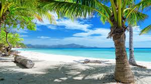 tropical是什么意思