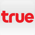 true是什么意思