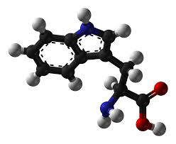 tryptophan是什么意思