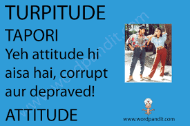 turpitude是什么意思
