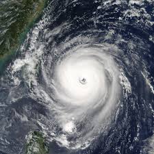 typhoon是什么意思
