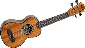 ukulele是什么意思