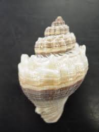 unaltered是什么意思