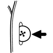 unbutton是什么意思