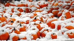 unseasonable是什么意思