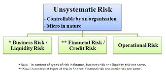 unsystematic是什么意思