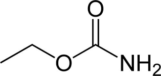 urethane是什么意思