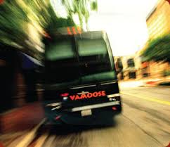 vamoose是什么意思