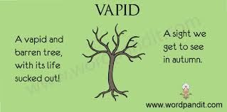 vapid是什么意思