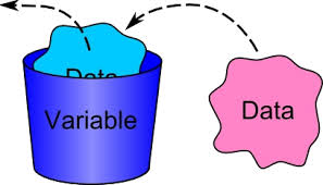 variable是什么意思
