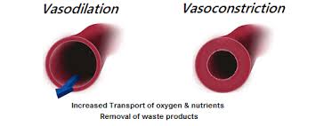 vasoconstriction是什么意思