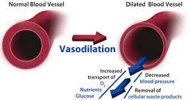 vasodilation是什么意思