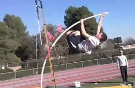 vaulter是什么意思