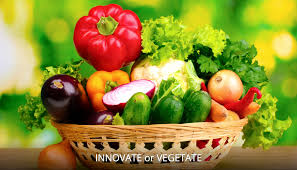 vegetate是什么意思