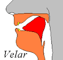 velar是什么意思