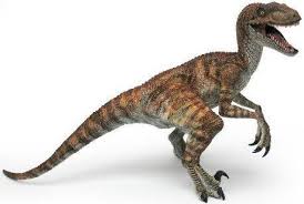 velociraptor是什么意思