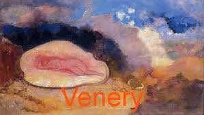 venery是什么意思