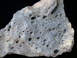 vesicular是什么意思